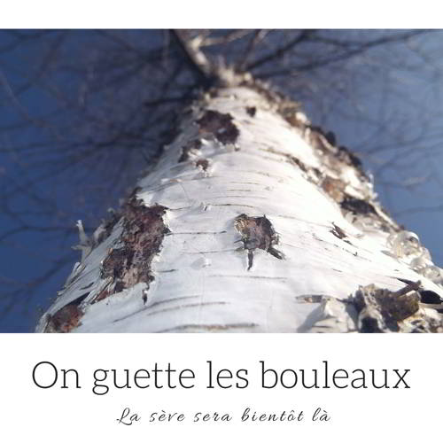visuels marketing, réseaux sociaux, facebook